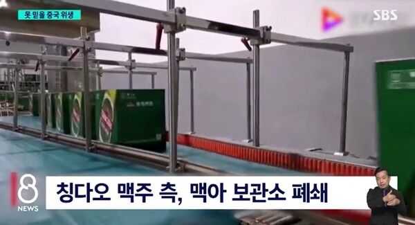 칭다오 맥주 오줌