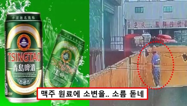칭다오 맥주 오줌