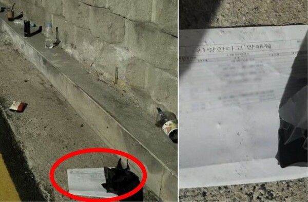 무인도의 디바 제주도