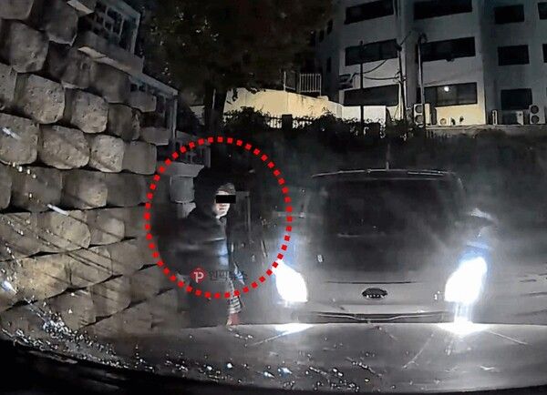 캣맘 차량 파손