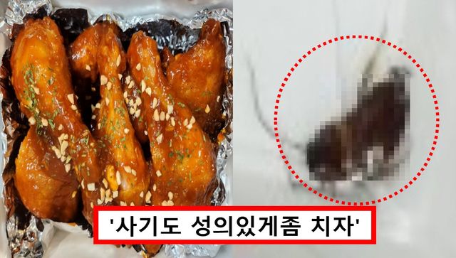 양념치킨 바퀴벌레