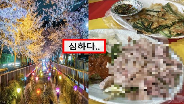 진해 '군항제' 바가지 논란