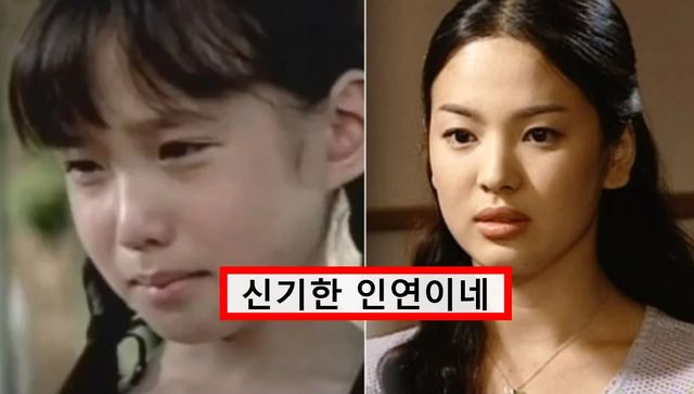 박은빈, 송혜교 / 사진 = 수호천사