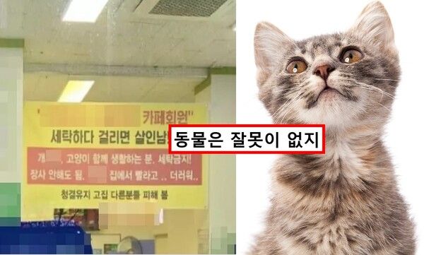 / 사진=온라인 커뮤니티, 게티이미지뱅크