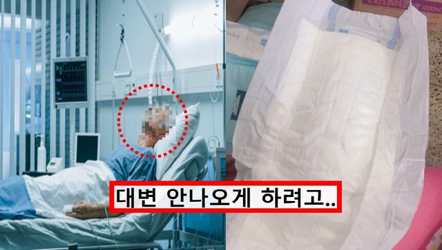 기사의 이해를 돕기 위한 사진