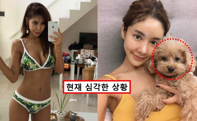 김준희 반려견 몽오 목줄 풀린 개에 무차별 공격당한 사연 / 사진=김준희 인스타그램