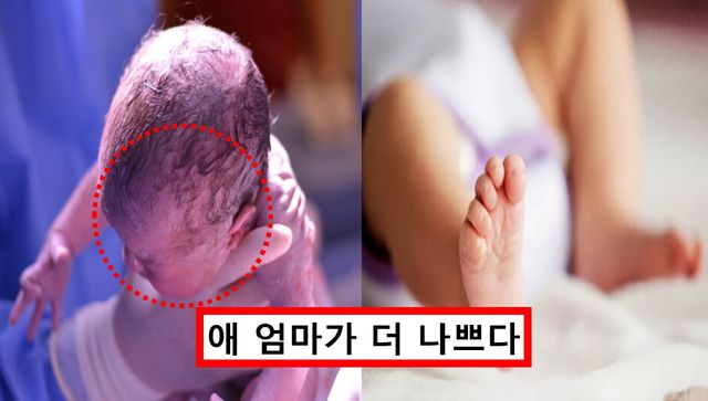 기사의 이해를 돕기 위한 사진&nbsp;