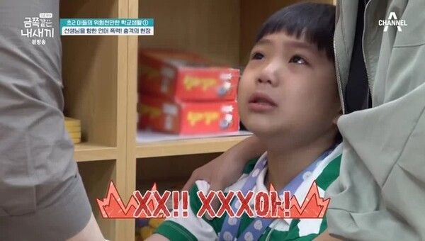 초2 금쪽이 레전드, 정학·학폭위까지 / 사진=채널A