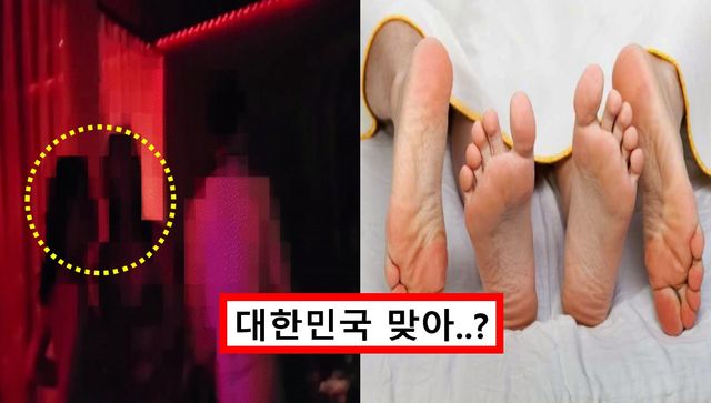 강남 스와핑 클럽