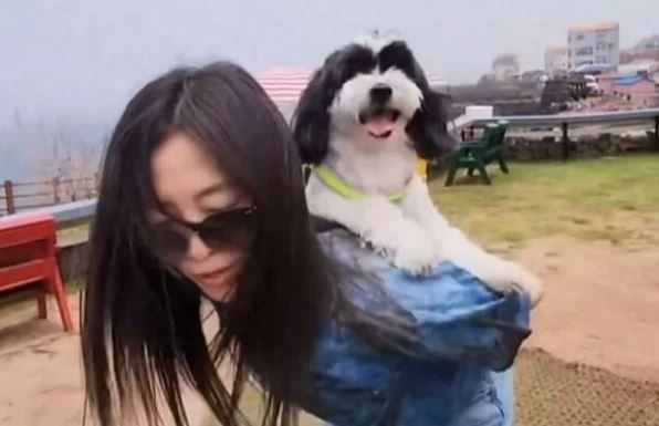장필순 애견호텔