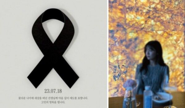 서이초 교사 학부모 직업