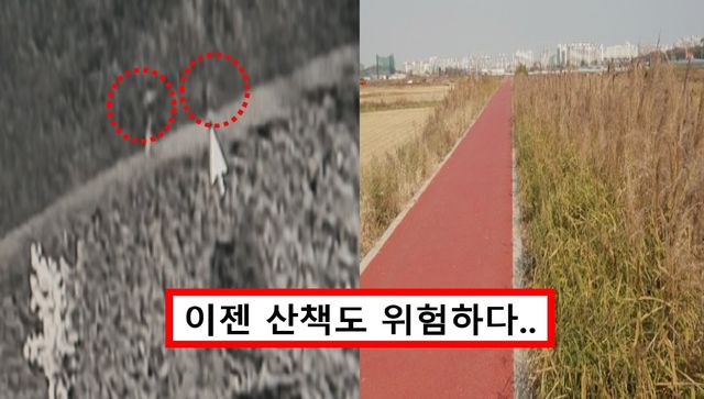 전주 삼천변 성폭행