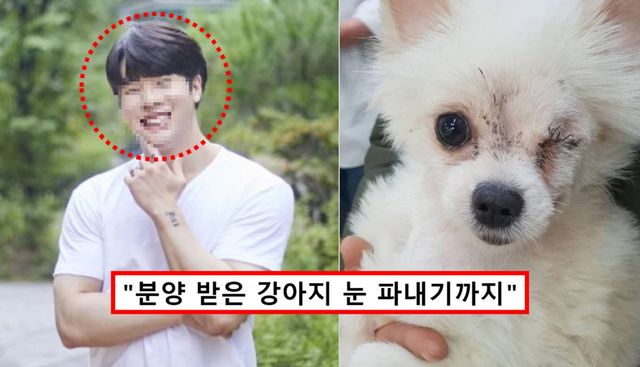 개그맨 사칭남 강아지 학대