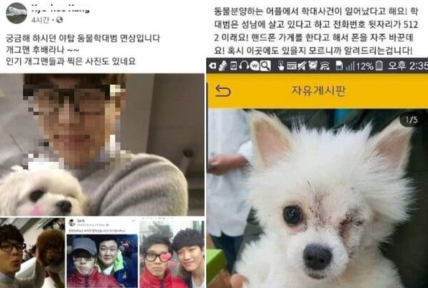 개그맨 사칭남 강아지 학대