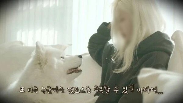 강아지 복제 유튜버