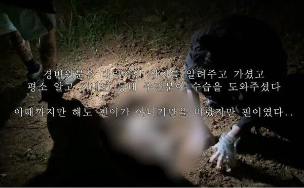 유튜버 다나나 고양이 단하나 핀이 추락사 청소업체