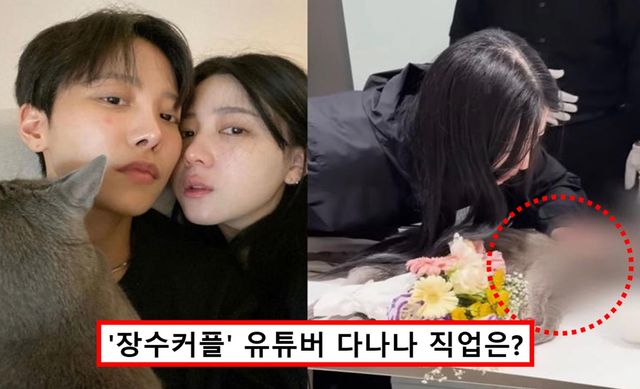 유튜버 다나나 고양이 단하나 핀이 추락사 청소업체