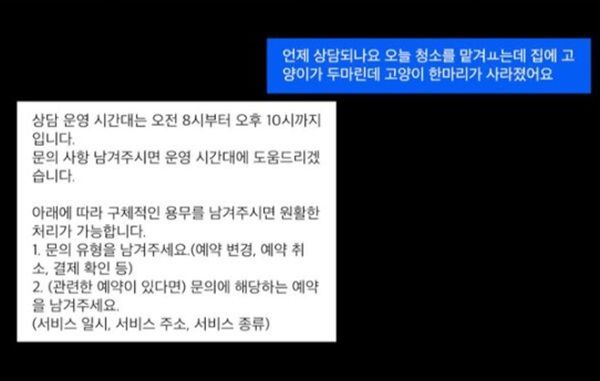 유튜버 다나나 고양이 단하나 핀이 추락사 청소업체