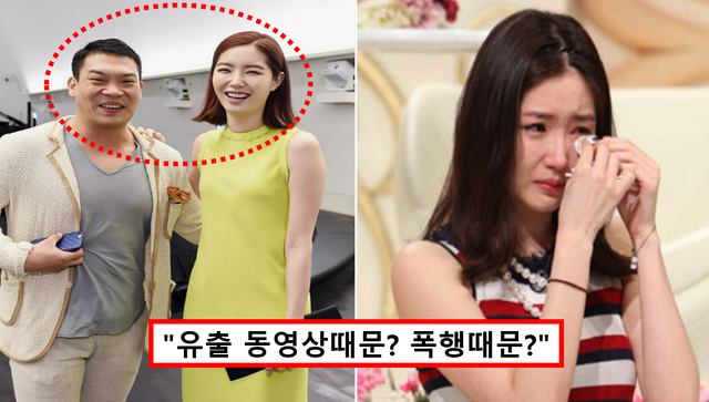 김새롬 이찬오 이혼사유