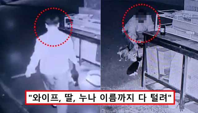 천안 디저타 카페 셰프 고양이 학대 신상