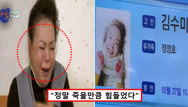 김수미 사망원인