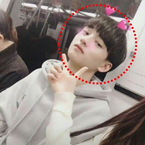 차은우 동생 얼굴 사진