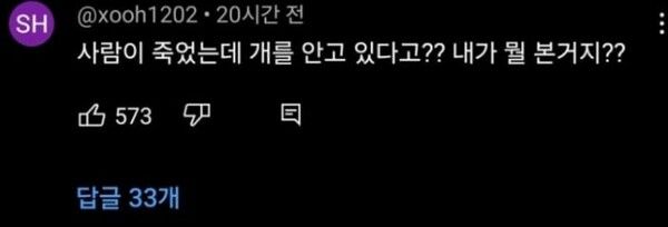 벤츠녀 음주운전 강아지