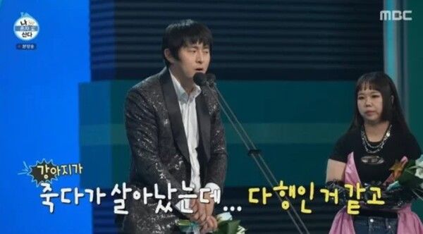 기안84 강아지 캔디