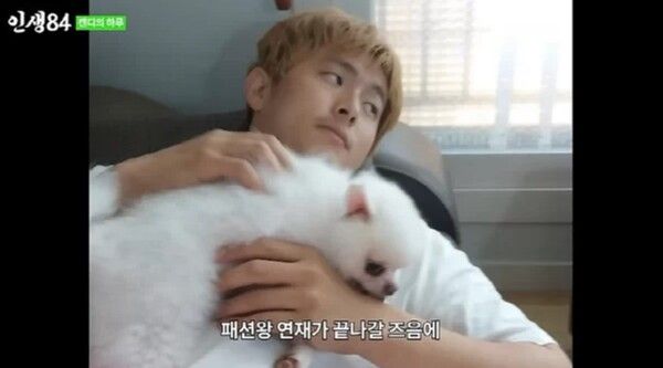 기안84 강아지 캔디