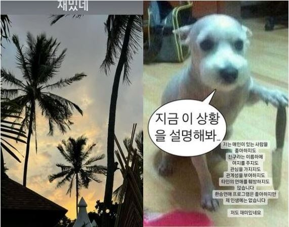 혜리 한소희