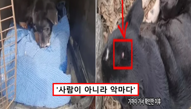 사진 = 그남자의 멍한여행