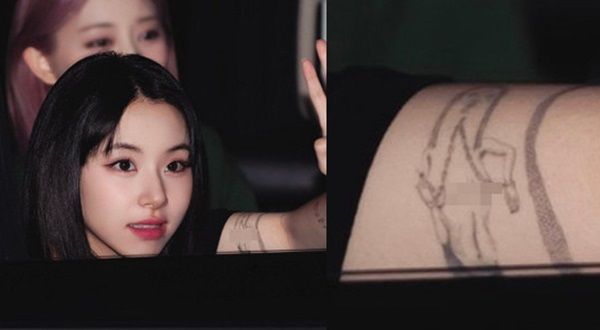 트와이스 채영 침화사 그림 논란