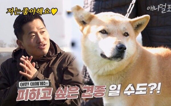 강형욱 와이프 통일교 간부 딸 해명