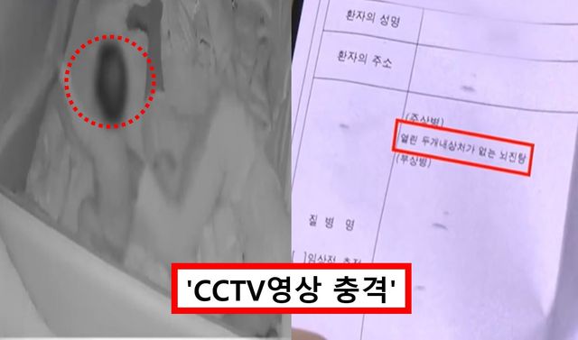 육아도우미 아동학대