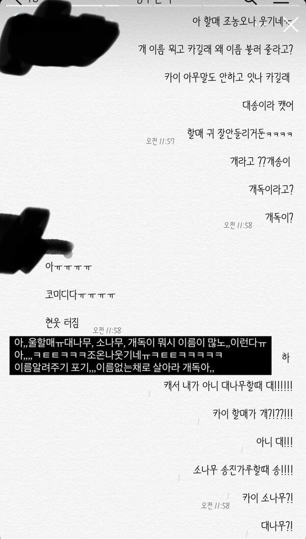 현대해상 펫보험 키즈모델 시바견 파양 논란