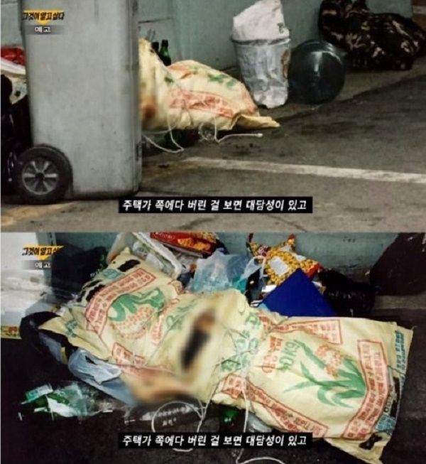 신정동 연쇄살인 엽기토끼 사건 범인 사망