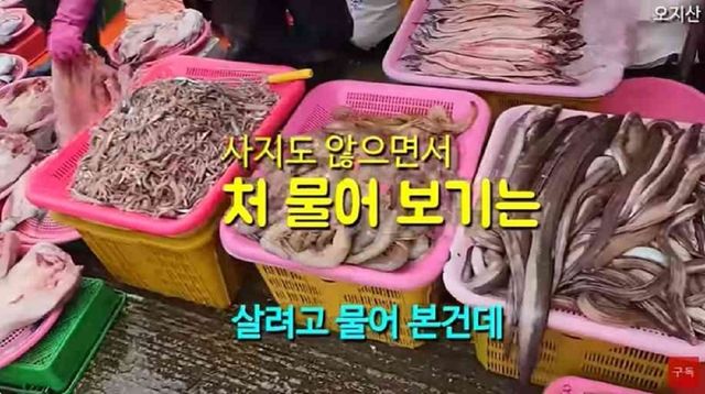 소래포구 가격 논란 대게 새우 수산물