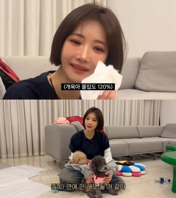 고준희 강아지 배변패드 에르메스 담요 가격