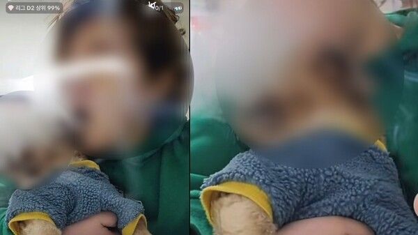 시츄 학대 틱톡커 얼굴 강아지 학대 논란