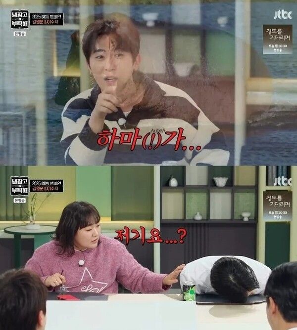 이수지 워터밤 햄부기 하마 김원훈 목격담