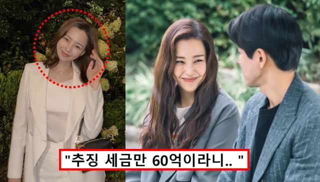 이하늬 탈세 논란 세금 재산 남편 나이