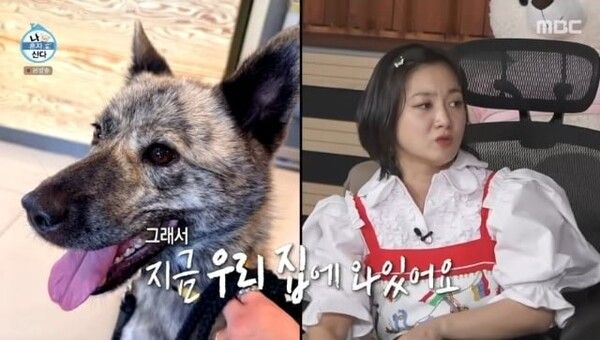 박나래 전남친 정체 직원 경영학과 학교 자퇴