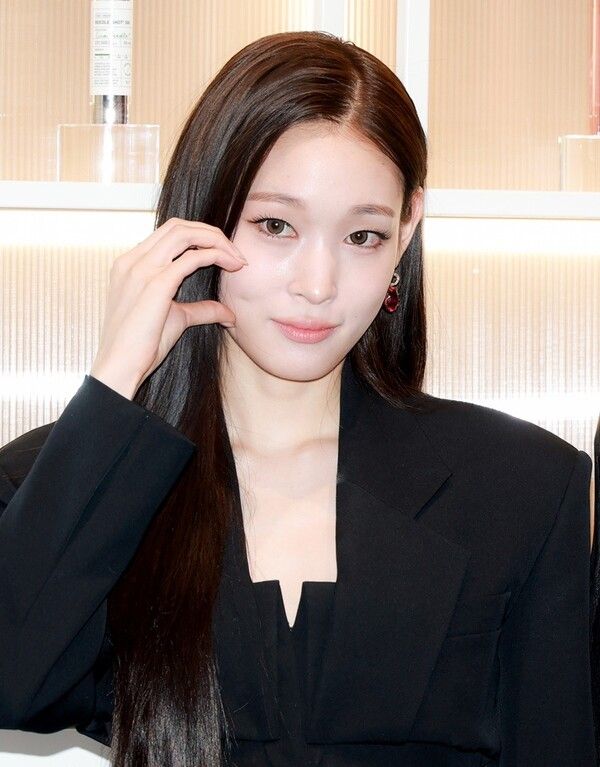 올데프 애니 복학 대학교 졸업 미국 전공