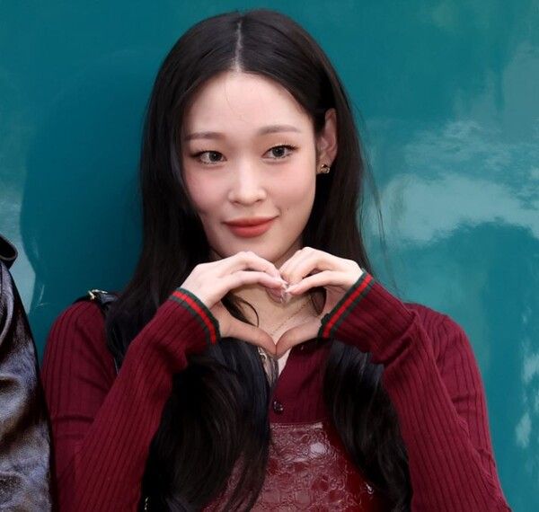 올데프 애니 복학 대학교 졸업 미국 전공