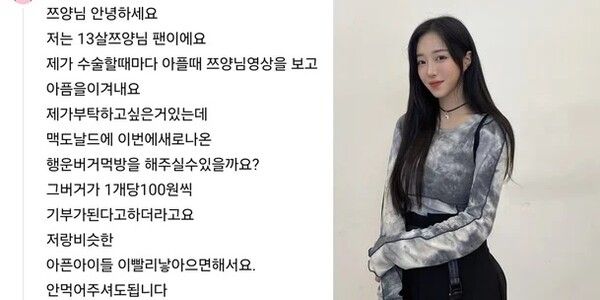 쯔양 행운버거 댓글 내용 기부 햄버거 먹방