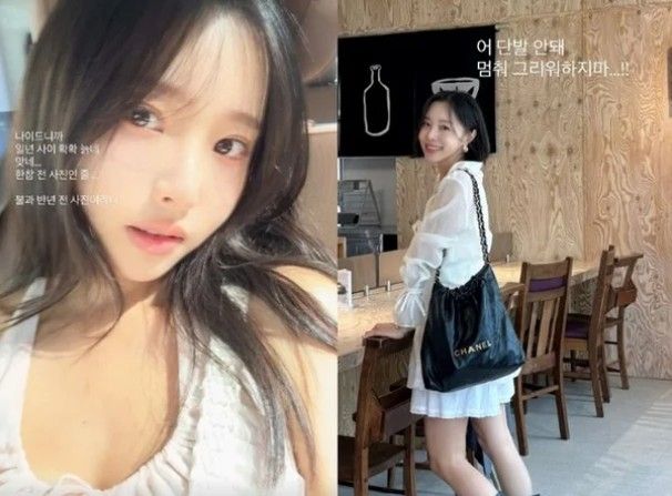 이솔이 무슨암 자궁암 유방암 난소암