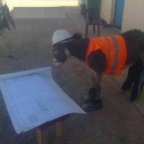 공사 첫날 믿음이 가는 직원이 등장 했다.jpg