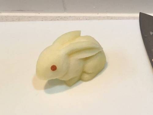 특기는 사과로 토끼만들기예요.jpg