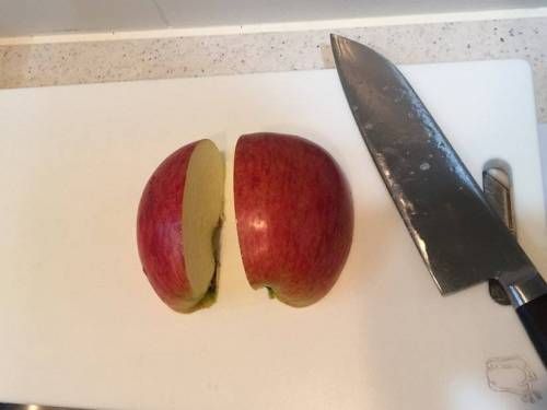 특기는 사과로 토끼만들기예요.jpg