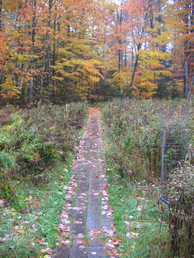 현재까지 활동하는 네이버 1호 파워블로거의 정체.txt
